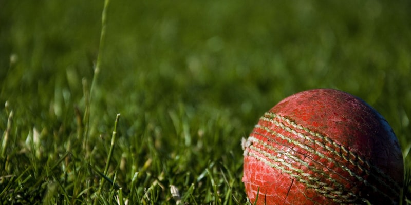 世界杯历史数据对比分析界面